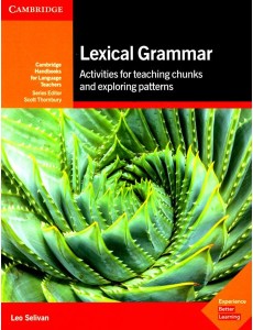 Lexical Grammar: Activities for Teaching Chunks and Exploring Patterns