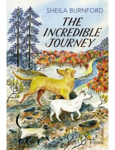 Incredible Journey Incredible Journey