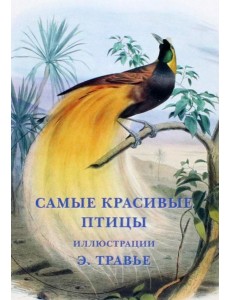 Набор открыток. Самые красивые птицы Набор открыток. Самые красивые птицы