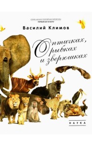 О птичках, рыбках и зверюшках