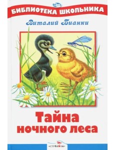 БШ. Тайна ночного леса