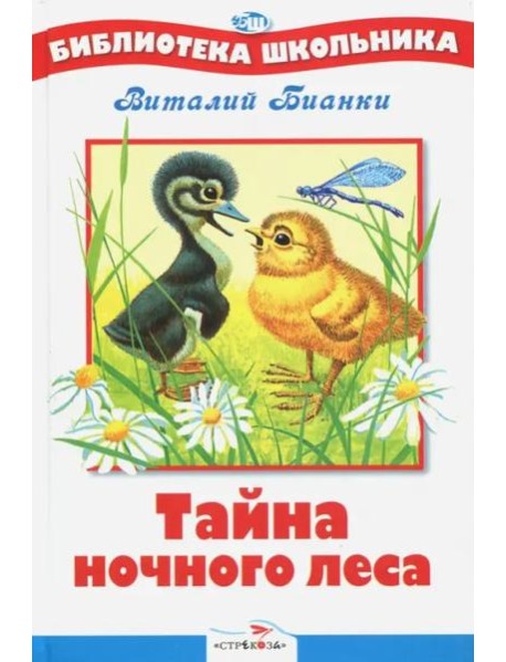 БШ. Тайна ночного леса