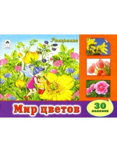 Мир цветов Мир цветов