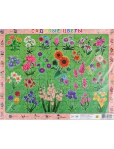 Пазл. Цветы садовые Пазл. Цветы садовые