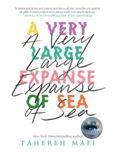 A VERY LARGE EXPANSE OF SEA