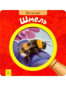 Вот ты где! Шмель Вот ты где! Шмель