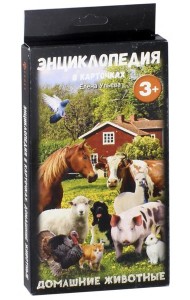 Энциклопедия в карточках. Домашние животные