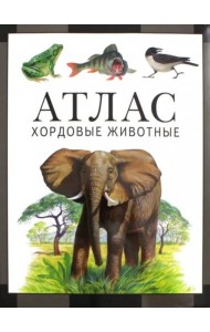 Хордовые животные. Атлас