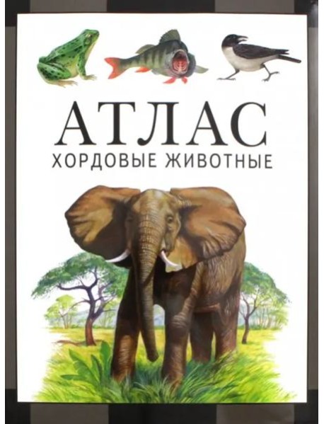 Хордовые животные. Атлас