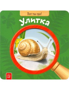 Вот ты где! Улитка Вот ты где! Улитка