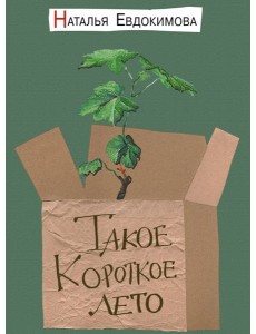 Такое короткое лето