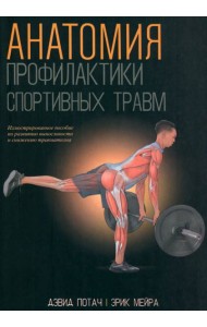 Анатомия профилактики спортивных травм