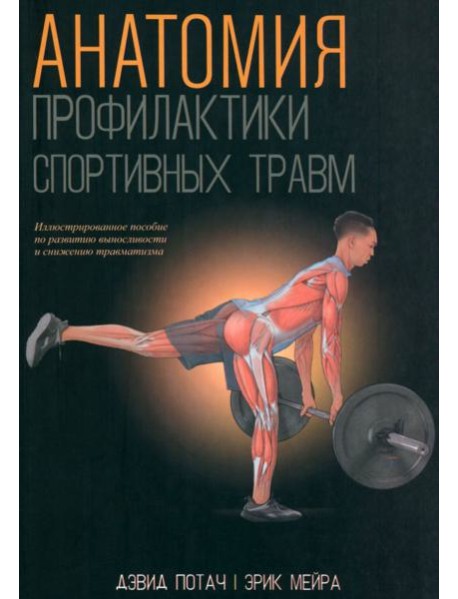 Анатомия профилактики спортивных травм