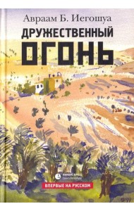 Дружественный огонь