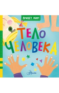 Тело человека