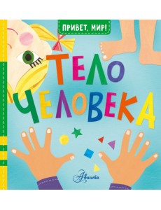 Тело человека Тело человека