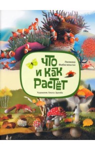 Что и как растёт