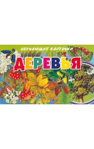 Карточки. Деревья