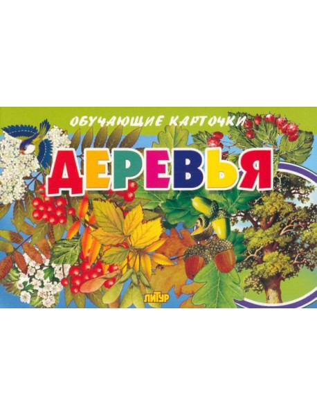 Карточки. Деревья