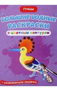 Птицы. Водная раскраска с цветным контуром + развивающие задания