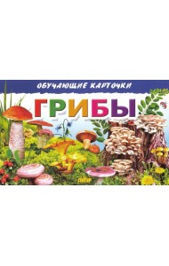 Обучающие карточки. Грибы