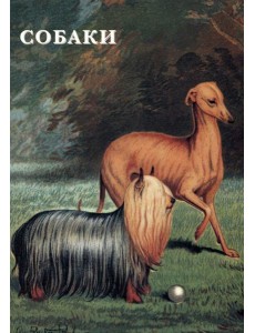 Набор открыток. Собаки