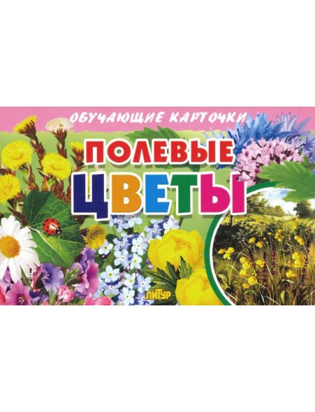 Обучающие карточки. Полевые цветы