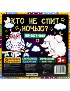 Кто не спит ночью? Животные