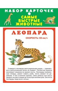 Набор карточек. Самые быстрые животные