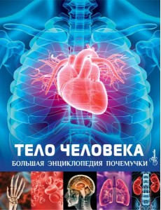 Тело человека