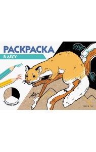 РАСКРАСКА ТРИ ЦВЕТА БУМАГИ. В лесу