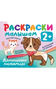 Домашние любимцы