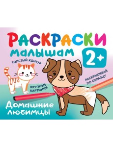 Домашние любимцы Домашние любимцы