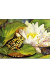 Картина по номерам 40х50см 