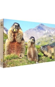 91026 Мозаика 