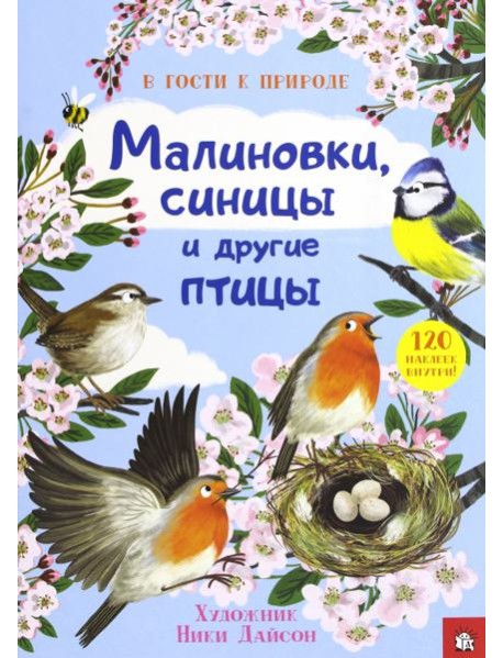 Малиновки, синицы и другие птицы