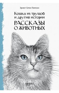 Кошка из трущоб