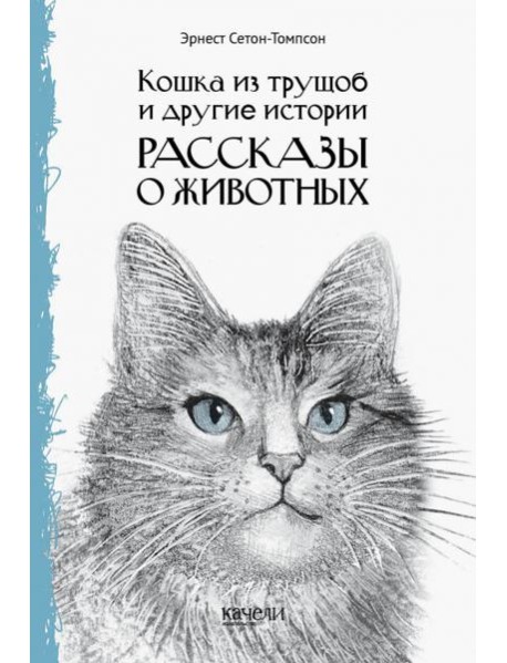 Кошка из трущоб