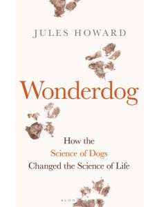 Wonderdog Wonderdog