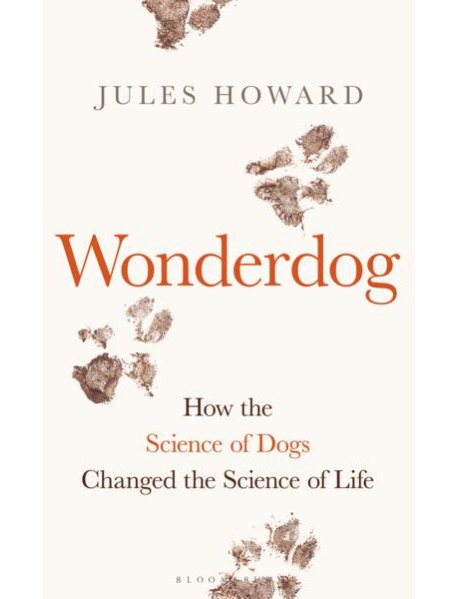 Wonderdog