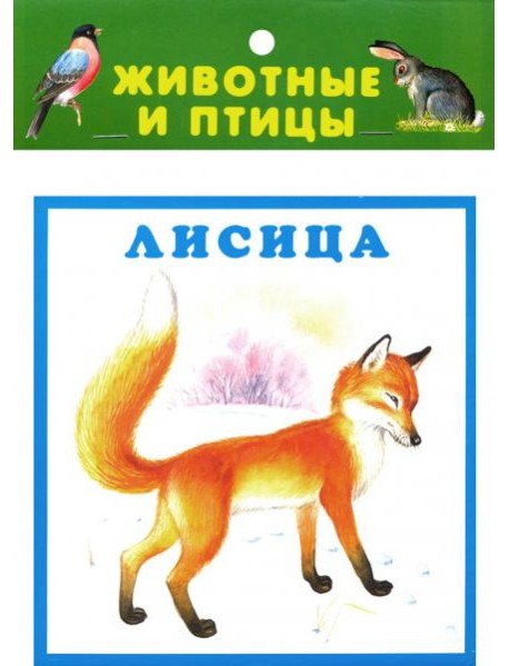 Животные и птицы. 20 карточек