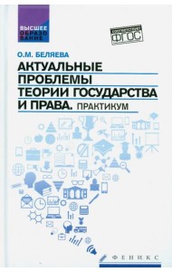 Актуальные проблемы теории государства и права. Практикум