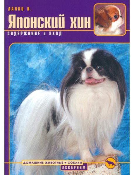 Японский хин. Содержание и уход