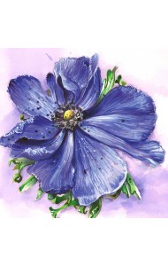 Алмазная мозаика 30*30,без подр,АНЕМОНА,65551