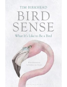 Bird Sense