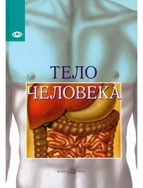 Тело человека