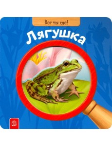 Вот ты где! Лягушка