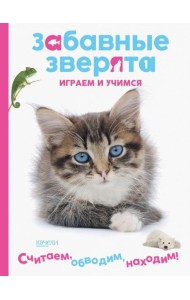 Котенок. Играем и учимся