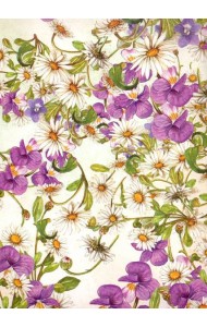 Бумага упаковочная 48*69,№10,2листа,00862