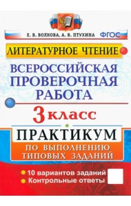 ВПР Литературное чтение 3кл Практикум